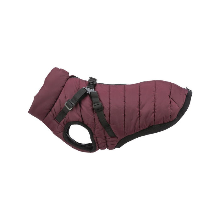 Manteau pour Chien Trixie Pirou Bordeaux S Manteau pour Chien Trixie Pirou Bordeaux S