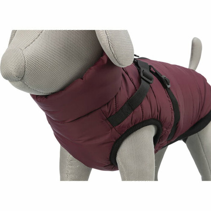 Manteau pour Chien Trixie Pirou Bordeaux S Manteau pour Chien Trixie Pirou Bordeaux S