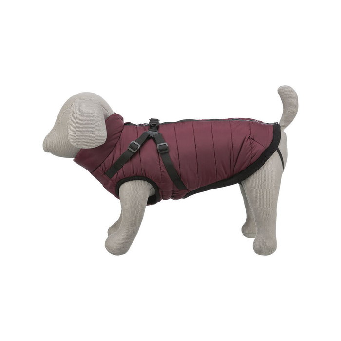 Manteau pour Chien Trixie Pirou Bordeaux S Manteau pour Chien Trixie Pirou Bordeaux S