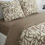 Today Parure de Lit Imprimé Feuillage Taupe 240 x 220 cm