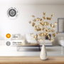 GSC Evolution Branche décorative LED feuilles d'érable dorées 0,70m lumière chaude