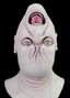 Death Studios Collection: Upside Down Mask