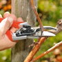 Felco 8 Classic Sécateur de taille bypass pour grandes mains