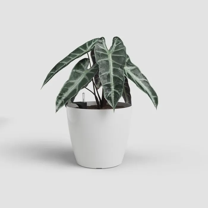 ARTEVASI - Pot de fleurs San Remo SWS 30 BR en plastique blanc pour intérieur et extérieur - Ø30 x H27 cm - 14,5 litres