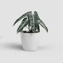 ARTEVASI - Pot de fleurs San Remo SWS 30 BR en plastique blanc pour intérieur et extérieur - Ø30 x H27 cm - 14,5 litres