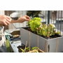 Lechuza Jardinière BALCONERA Stone 50 ALL-IN-ONE Gris