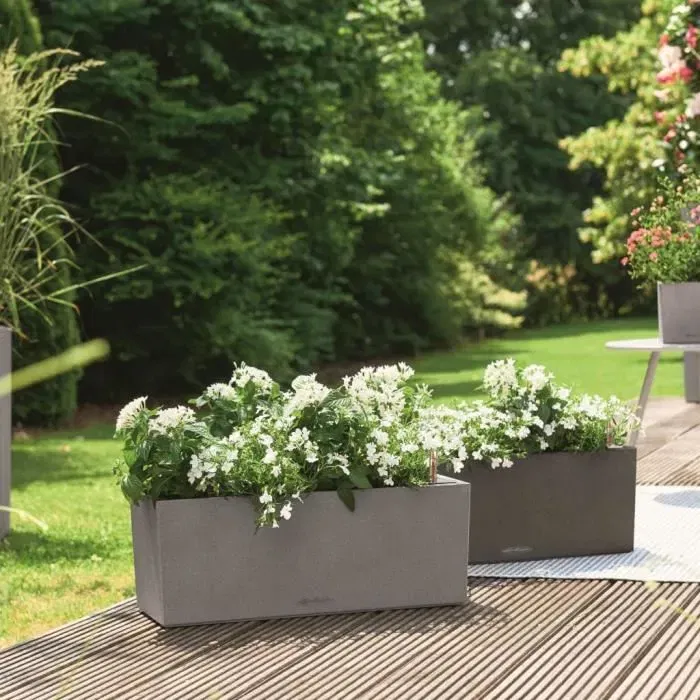 Lechuza Jardinière Balconera Stone 50 All-in-One - Bac à fleurs auto-arrosant pour balcon et terrasse, gris Lechuza Jardinière Balconera Stone 50 All-in-One - Bac à fleurs auto-arrosant pour balcon et terrasse, gris