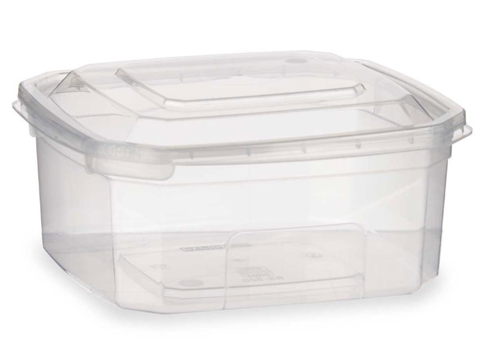 Leknes Boîte de Conservation Rectangulaire 500 ml Plastique Transparent 13 x 12.3 x 6 cm (Set de 24)