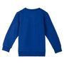 Cerdá Sweat-shirt Paw Patrol en coton brossé pour enfant - 5 ans - Bleu