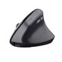 Souris Trust 25371 Noir 2400 dpi