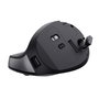 Souris Trust 25371 Noir 2400 dpi