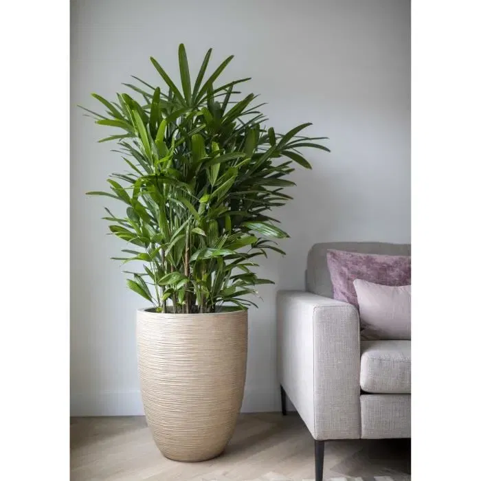 Capi Europe Vase élégant bas Waste Rib NL, 46x58 cm, terrazzo beige en polyéthylène recyclé, pour intérieur et extérieur