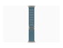 Apple Watch Ultra 3 GPS Cellular 49 mm Titane Loop Alpine Bleu Clair Taille M