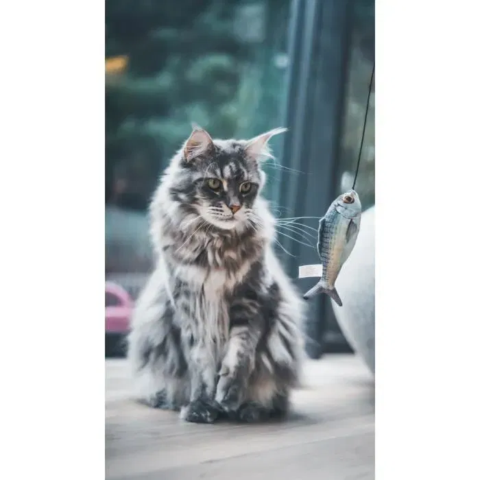 AIMÉ Canne à pêche Jouet pour Chat avec Poisson et Stick en Bois - Jouet Interactif Stimulant 15 cm, Papier Bruissant et Herbe à Chat