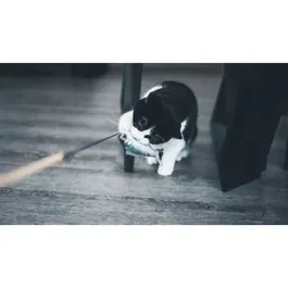 AIMÉ Canne à pêche Jouet pour Chat avec Poisson et Stick en Bois - Jouet Interactif Stimulant 15 cm, Papier Bruissant et Herbe à Chat