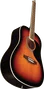 EKO Guitare Acoustique Dreadnought Ranger VI Brown Sunburst