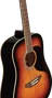 EKO Guitare Acoustique Dreadnought Ranger VI Brown Sunburst