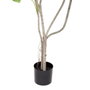 BigBuy Home Plante décorative Monstera 180 cm