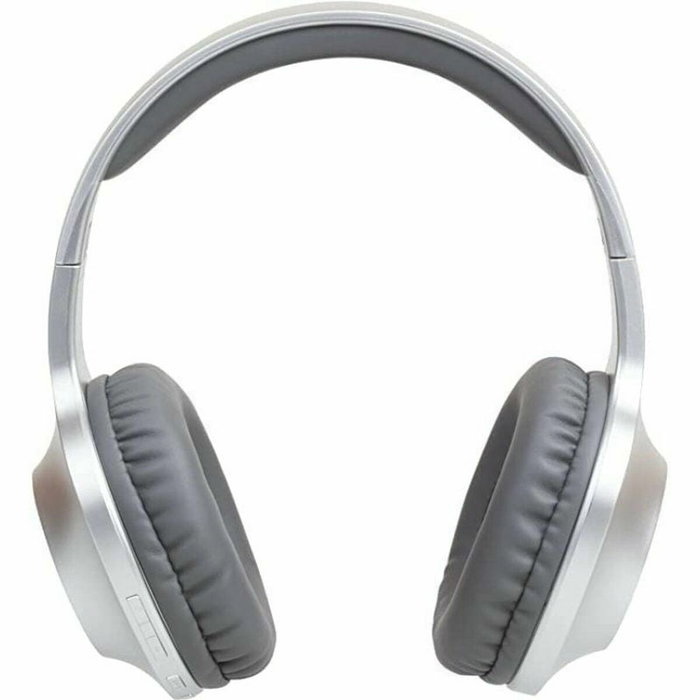 Panasonic RB-HX220BDES Gris Argenté