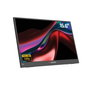Verbatim PM-15 Full HD Monitor LIGHT - 15,6 pouces, Noir