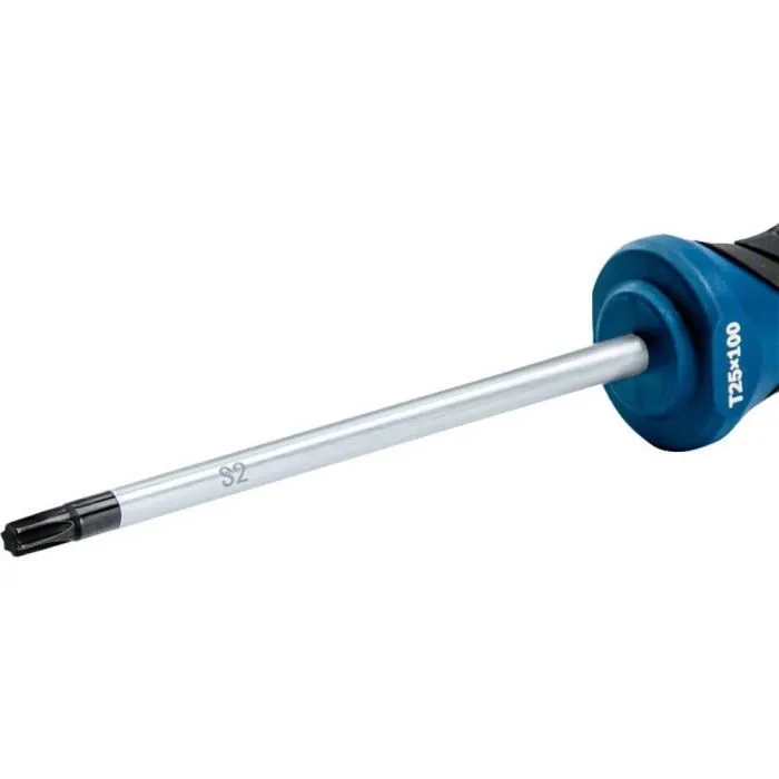 Bosch Professional Tournevis Torx TX 25x100, tige en acier S2, pointe de précision, manche ergonomique Softgrip pour professionnels