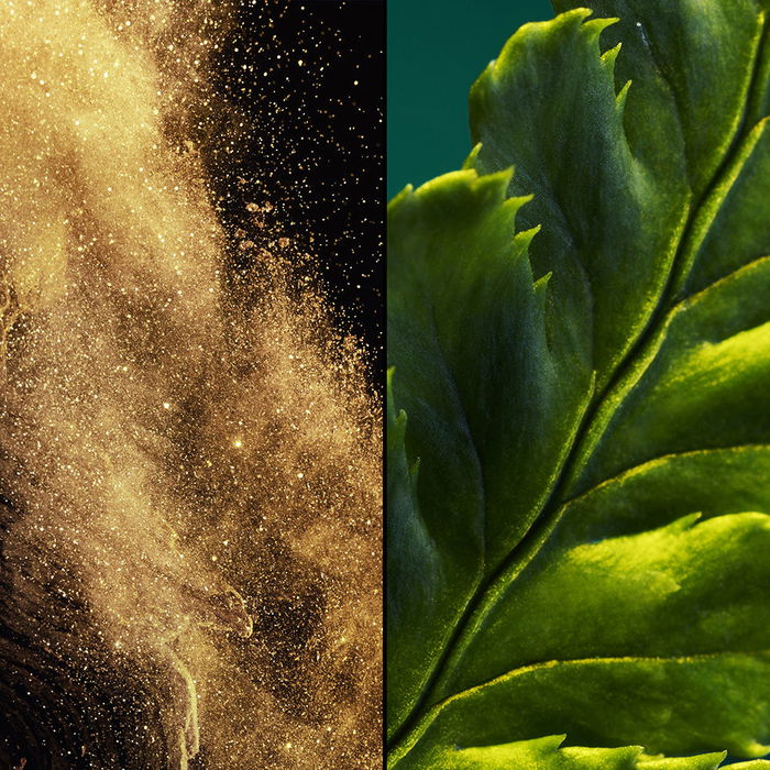 Guerlain Vol de Nuit Eau de Toilette Vaporisateur 75 ml Guerlain Vol de Nuit Eau de Toilette Vaporisateur 75 ml