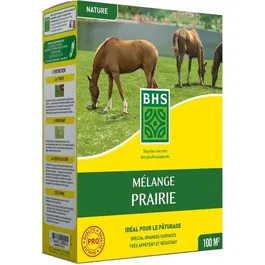 BHS Mélange Prairie 1kg - Semences de Gazon pour Prairies et Pâturages - Couverture 100m² - Installation Rapide et Résistant