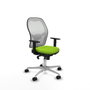 Piqueras y Crespo Chaise de Bureau 1D086N0 Pistache
