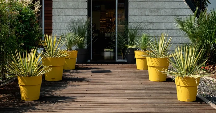 Stefanplast Pot de fleur Ethica 2 L 40 x 39 cm avec réserve d'eau couleur moutarde