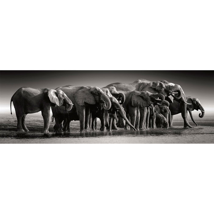 Clementoni Puzzle 1000 Pièces Manada De Gigantes 39833 pour Adultes - Dimensions Assemblé : 98 x 33 cm