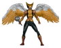 McFarlane Toys DC Multiverse Hawkgirl (Kendra Saunders) Collector Edition - 27,61 cm