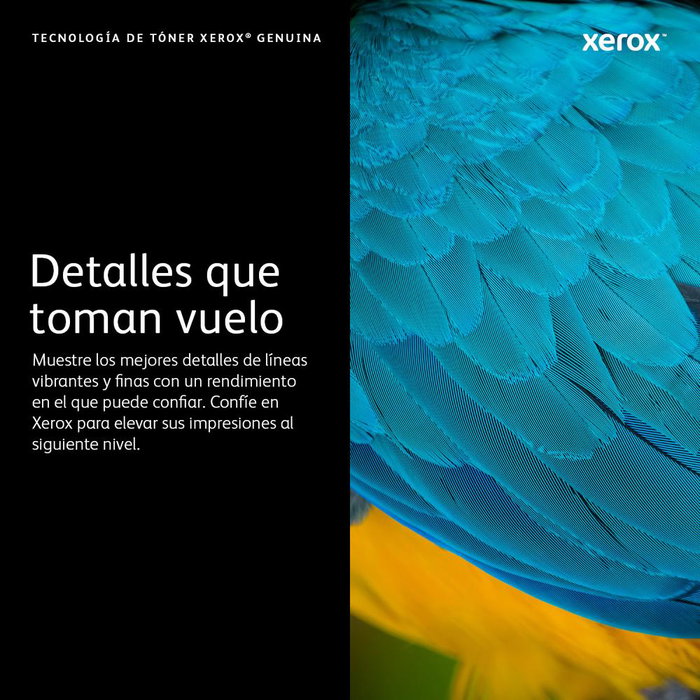 Xerox Toner 006R04376 Noir Xerox Toner 006R04376 Noir