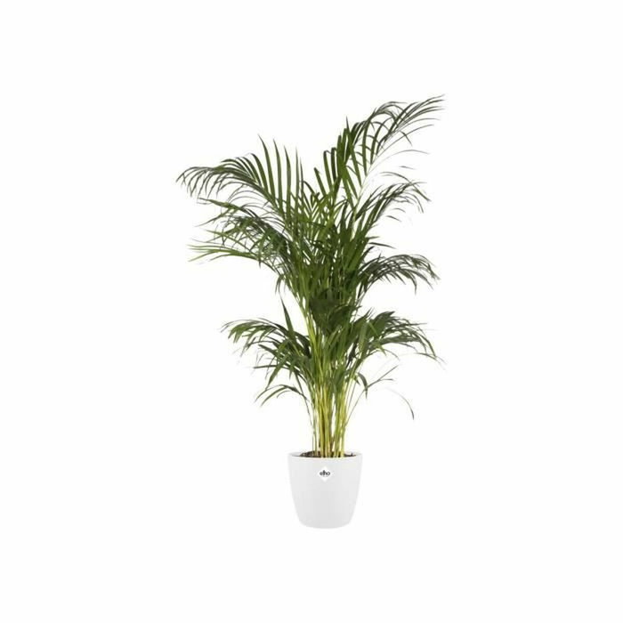 Elho Pot de fleurs BRUSSELS rond - Ø 29,5 x H 27,1 cm - Blanc