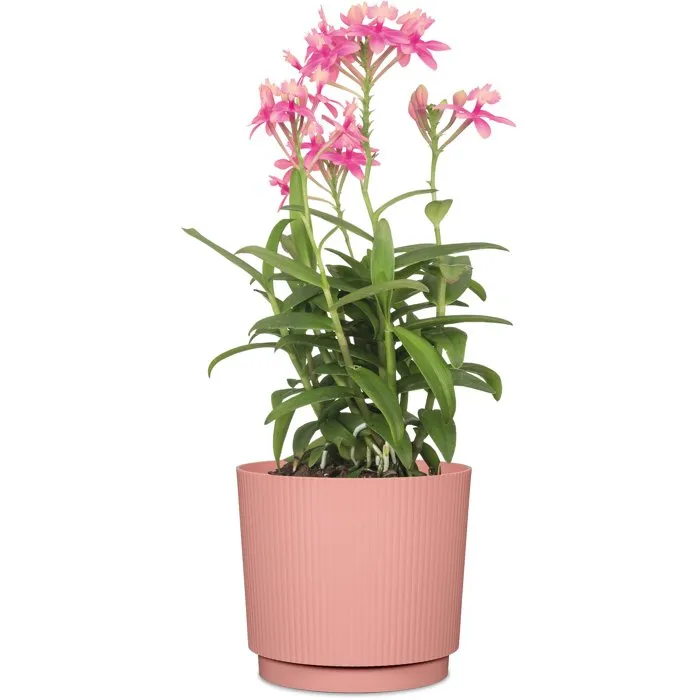 Garden Id Cache-pot rond Lino Rose - Ø 25 cm, 7 L, Hauteur 22 cm - Pour intérieur et extérieur