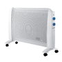 Emetteur Thermique Numérique Blaupunkt BP1007 Noir 2000 W