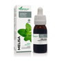 Soria Natural Extrait de Mélisse Formule XXI 50 ml
