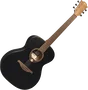 LAG Tramontane 70 Guitare Acoustique Auditorium Table Épicéa Massif Dos et Éclisses Acajou Noir Satiné