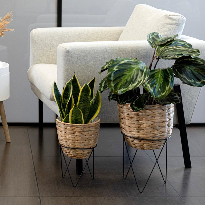 Vinthera Set de Maceteros Moa 25 cm x 40 cm et 20 cm x 30 cm, Lot de 6