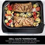 Ninja DG551EU Grill & Friteuse sans huile 6 programmes de cuisson 3,8L 1760W Cyclonic Air
