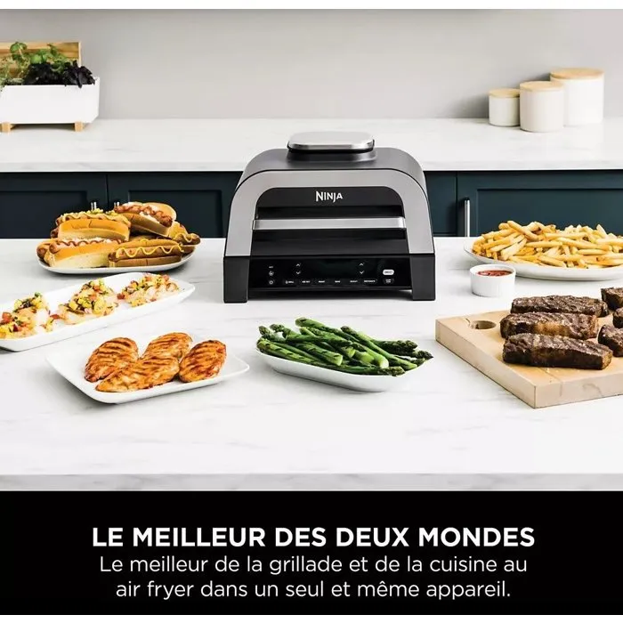 Ninja DG551EU Grill & Friteuse sans huile 6 programmes de cuisson 3,8L 1760W Cyclonic Air