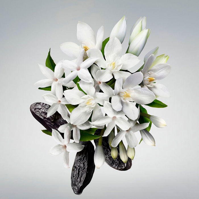 Carolina Herrera Crème Corporelle Good Girl 200 ml - Notes d'amande, vanille et tubéreuse