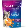 Vetocanis DentActiv - 10 Bâtonnets à Mâcher - Hygiène Bucco-Dentaire pour Chat - Au Poulet, sans Céréales, Anti-Plaque