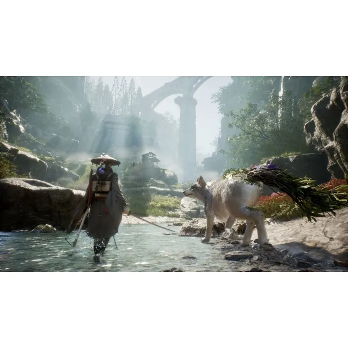 Solutions2Go Beast of Reincarnation PS5