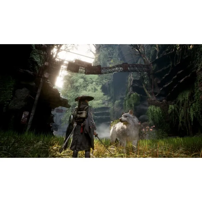 Solutions2Go Beast of Reincarnation PS5