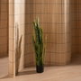 BigBuy Home Plante décorative Caoutchouc polypropylène 20 X 20 X 115 CM