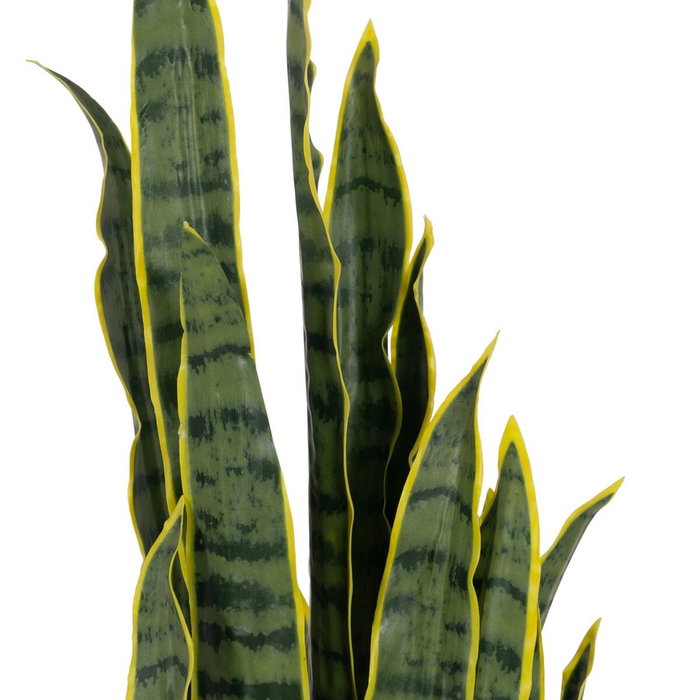BigBuy Home Plante décorative Caoutchouc polypropylène 20 X 20 X 115 CM BigBuy Home Plante décorative Caoutchouc polypropylène 20 X 20 X 115 CM