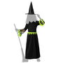 Déguisement Enfant Sorcière Robe Longue Vert et Noir avec Chapeau Pointu - Halloween - 5-6 Ans - En Polyester