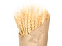 GIFTDECOR Assortiment de 30 Rameaux de Blé Naturel - Blanc, Vert et Violet