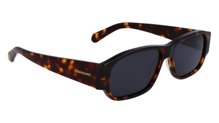 Ferragamo SF1109S-5714242 Lunettes de soleil pour homme