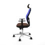 Piqueras y Crespo 1D086N2 Chaise de Bureau avec Appui-tête Bleu Brun foncé